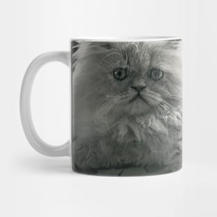 Seriously Sweet Mug